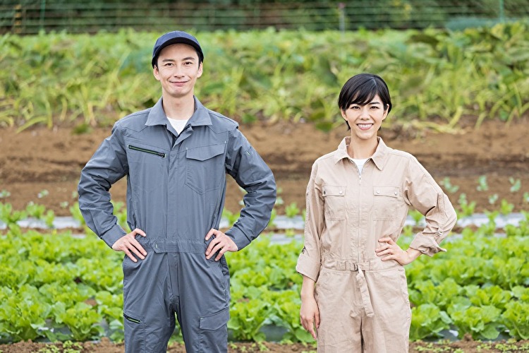 週末農業バイトで土日を有効活用！農家を手伝って農業の勉強をしよう