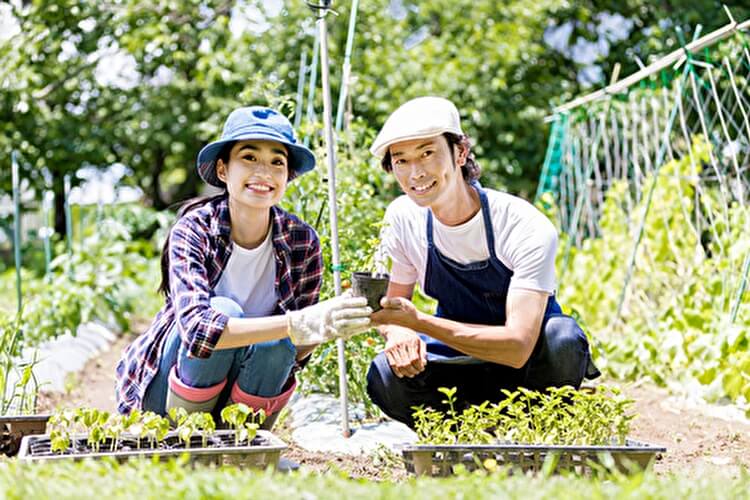 農家になるには？3つの方法と必要な資格、仕事内容や年収を紹介