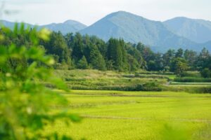 田舎暮らしの仕事23選！求人例や探し方、地方移住の方法を紹介