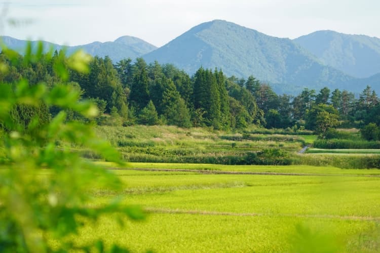 田舎暮らしの仕事23選！求人例や探し方、地方移住の方法を紹介