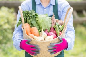 有機栽培（オーガニック）とは？メリットや危険性、無農薬との違いを紹介