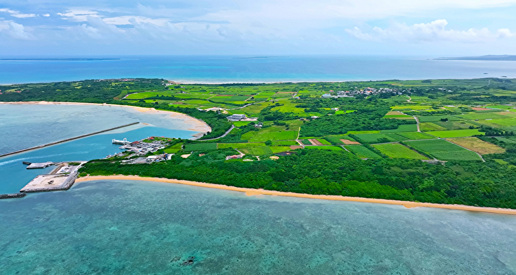 沖縄・離島で農業を始めるなら住み込み就農がオススメ！正社員や40・50代でも働ける求人も紹介