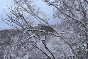 千歳・苫小牧リゾートバイト求人｜支笏湖で人気の働き方ガイド