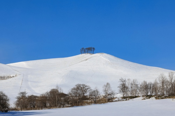サホロリゾートバイト求人完全ガイド｜高時給×寮付き×リフト券無料の魅力