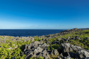 名護市リゾートバイト完全ガイド！求人情報とおススメの派遣会社まとめ