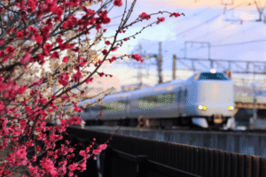 城崎温泉リゾートバイトサイト・派遣会社比較・おすすめランキング！求人や魅力も紹介