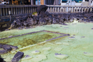 杖立リゾートバイトの求人・働き方完全ガイド【温泉×住み込み】