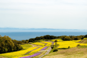 淡路島リゾートバイトの特徴や魅力・人気の派遣会社をまるっと紹介