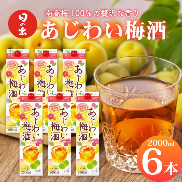 日の出みりん あじわい梅酒 南高梅100%(楽天ふるさと納税 兵庫県)