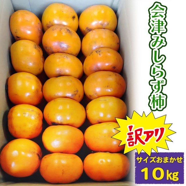 会津みしらず柿 家庭用／訳あり サイズおまかせ 10kg（楽天ふるさと納税 福島県会津若松市）