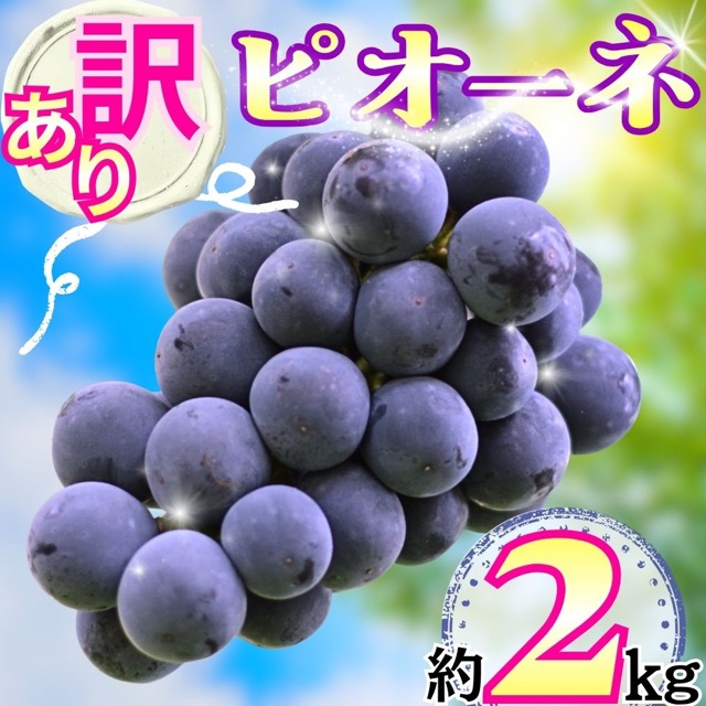 訳あり ピオーネ ご家庭用（楽天ふるさと納税 山形県朝日町）