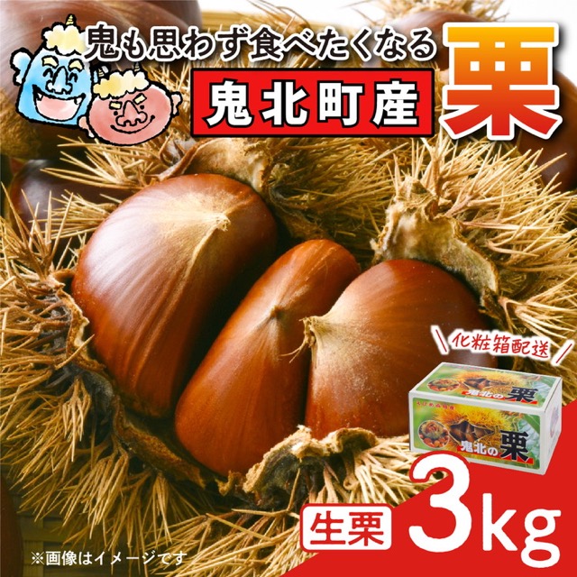 鬼北町産くり(楽天ふるさと納税 愛媛県鬼北町)