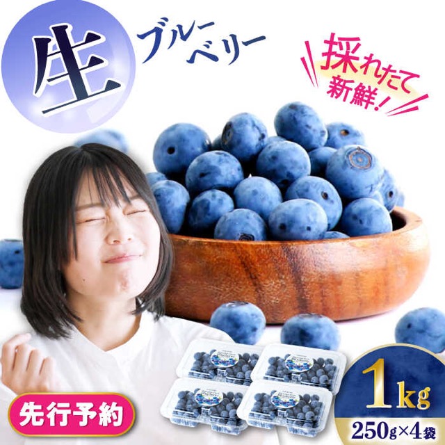 生ブルーベリー（楽天ふるさと納税 長崎県大村市）