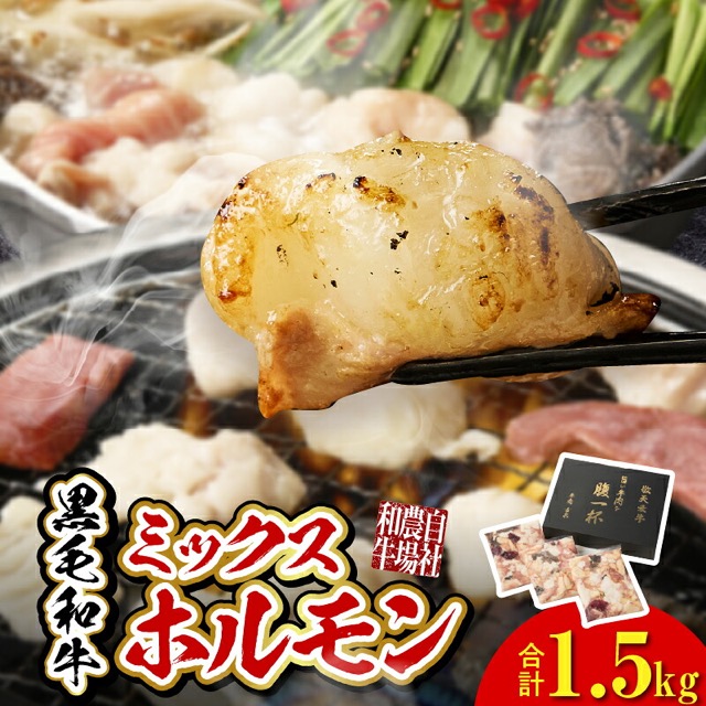 黒毛和牛ミックスホルモン(楽天ふるさと納税 宮崎県小林市)