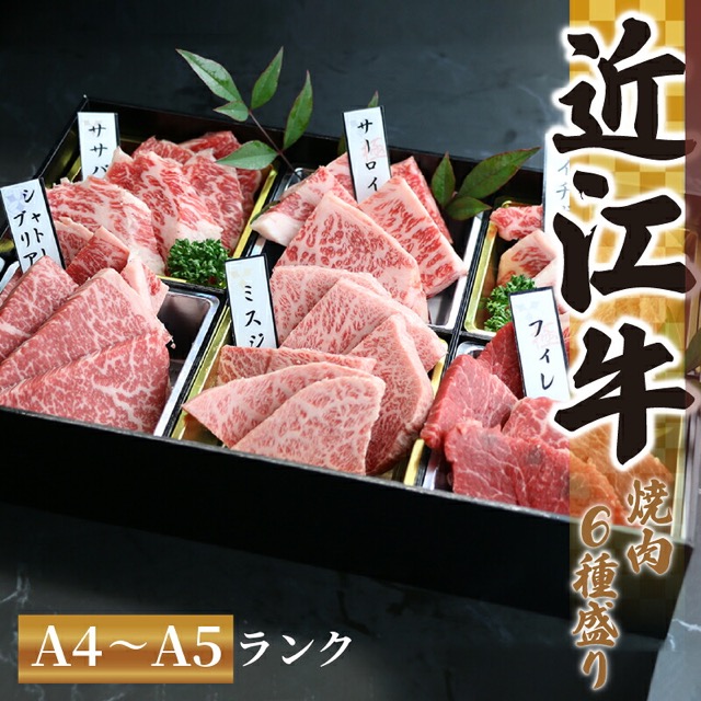 近江牛 赤身 焼肉 特上 盛り合わせ 480〜530g(希少部位6種)(楽天ふるさと納税 滋賀県竜王町)