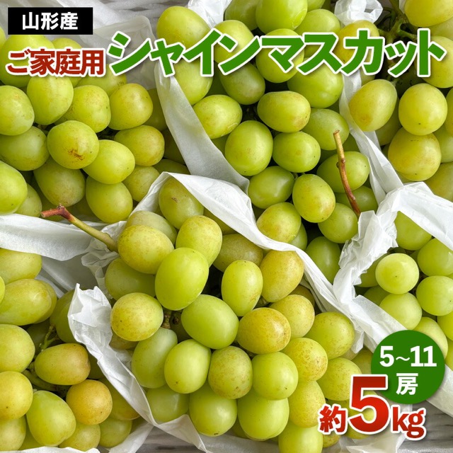 山形産 シャインマスカット ご家庭用（楽天ふるさと納税 山形県山形市）