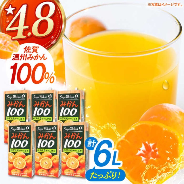 さがみかん100(楽天ふるさと納税 佐賀県江北町)