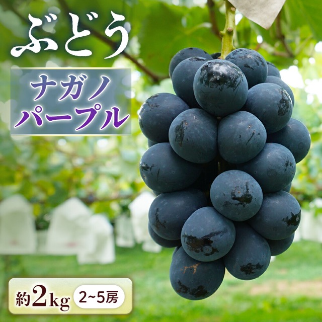 ナガノパープル（楽天ふるさと納税 長野県豊丘村）