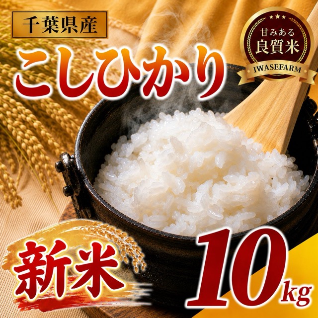 令和8年産 コシヒカリ(楽天ふるさと納税 千葉県東金市)