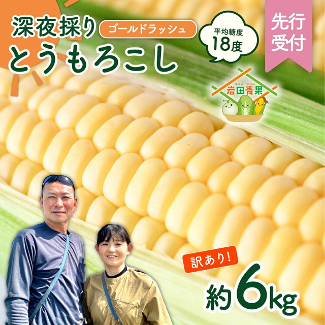 訳あり ゴールドラッシュ(楽天ふるさと納税 茨城県八千代町)