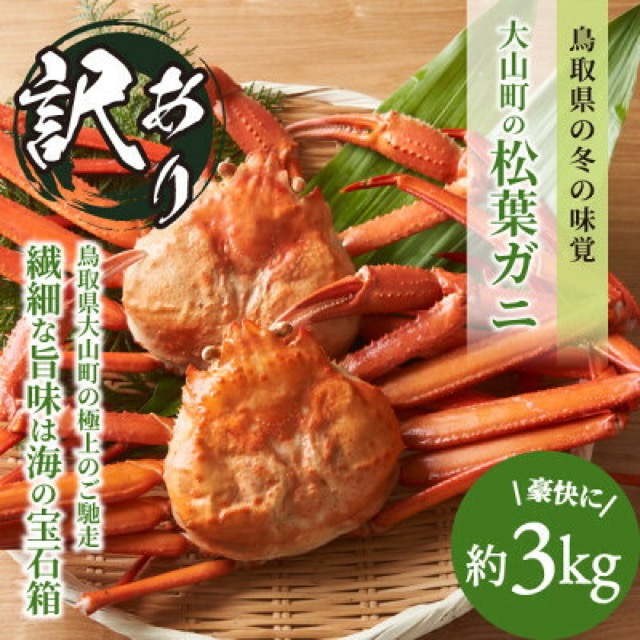冷凍 訳あり松葉ガニ(楽天ふるさと納税 鳥取県伯耆町)