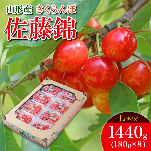 佐藤錦 Lサイズ 180g×8（楽天ふるさと納税 山形県山形市）