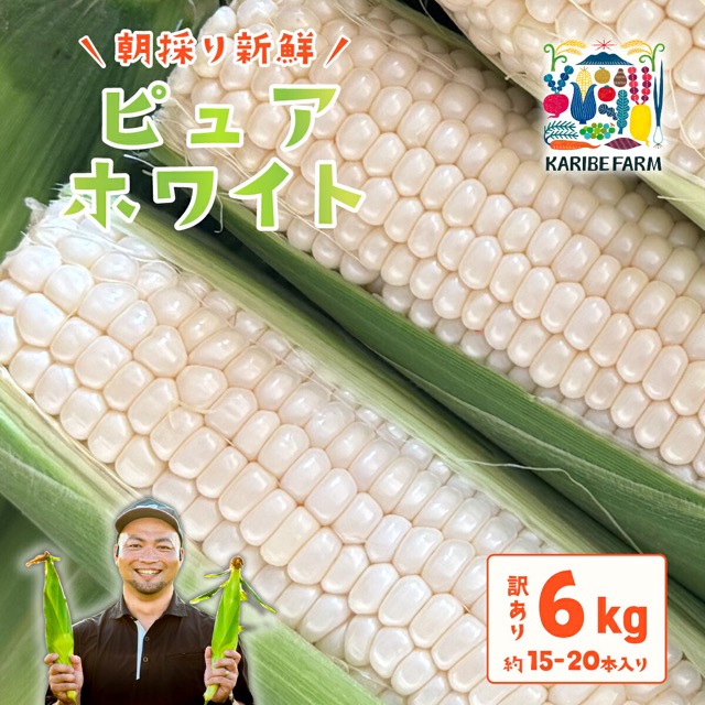 訳あり ピュアホワイト(楽天ふるさと納税 茨城県下妻市)