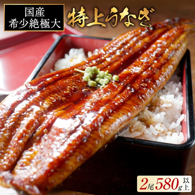 九州産 特上うなぎ蒲焼 290g×2尾(楽天ふるさと納税 北海道別海町)