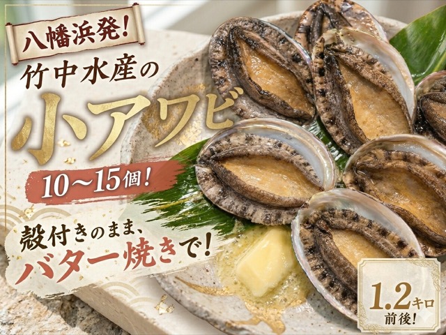 竹中水産 天然小アワビ(楽天ふるさと納税 愛媛県八幡浜市)