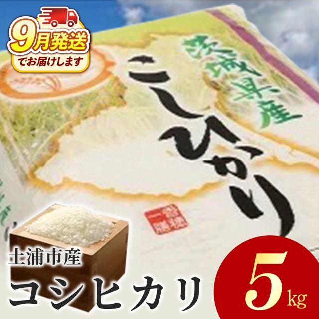 土浦市産コシヒカリ(楽天ふるさと納税 茨城県土浦市)