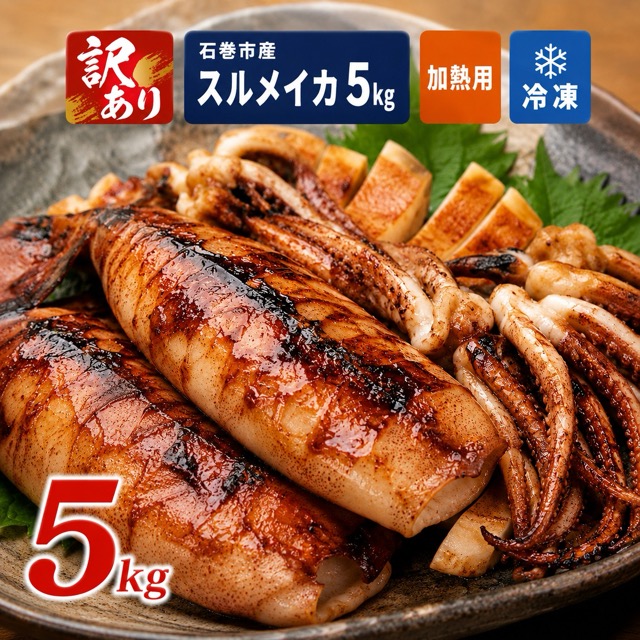 訳あり 石巻産スルメイカ(楽天ふるさと納税 宮城県石巻市)