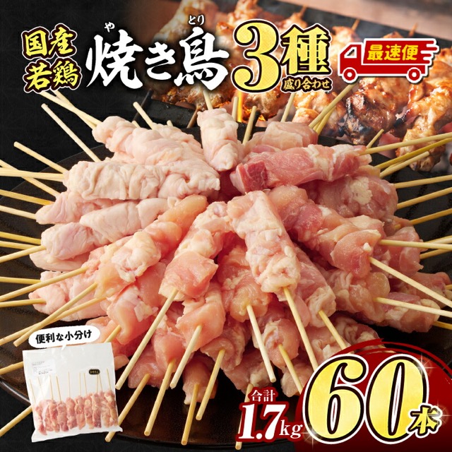 若鶏の焼き鳥 3種 3種×20本（60本・バラ凍結・発送時期が選べる）（楽天ふるさと納税 宮崎県宮崎市）
