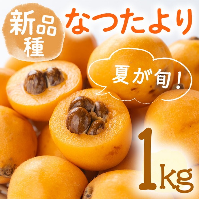 なつたより びわ（楽天ふるさと納税 香川県まんのう町）