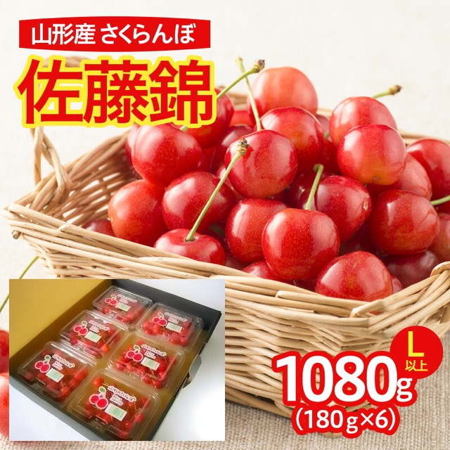 佐藤錦 Lサイズ以上 180g×6（楽天ふるさと納税 山形県山形市）