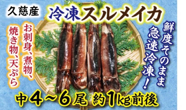 久慈港 冷凍スルメイカ(楽天ふるさと納税 岩手県久慈市)