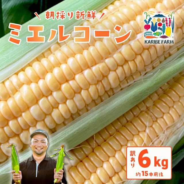 訳あり ミエルコーン(楽天ふるさと納税 茨城県下妻市)