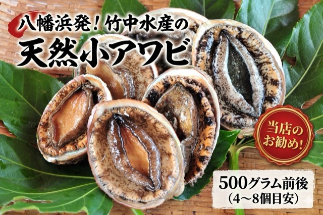 竹中水産 天然小アワビ(楽天ふるさと納税 愛媛県八幡浜市)