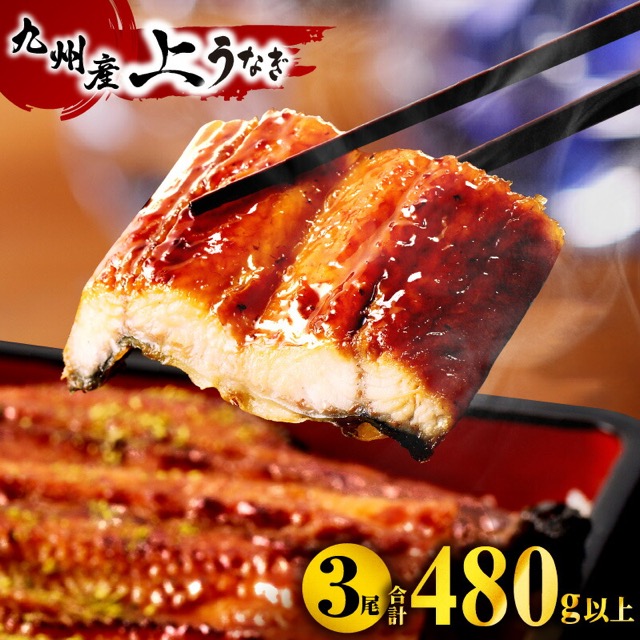 鰻楽 九州産うなぎ蒲焼 3尾（計480g以上）（楽天ふるさと納税 宮崎県宮崎市）