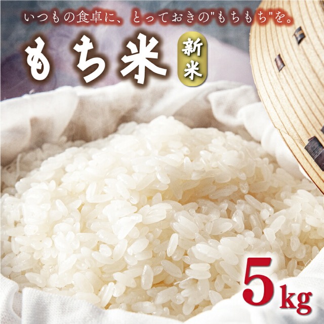 令和8年産 新米 もち米 5kg(和家農園)(楽天ふるさと納税 愛媛県愛南町)