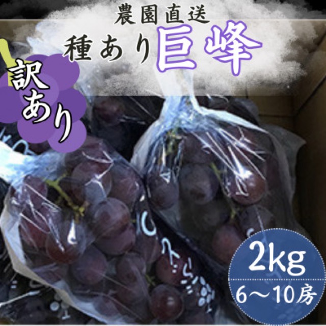訳あり 種あり巨峰 約2kg(楽天ふるさと納税 大分県日出町)