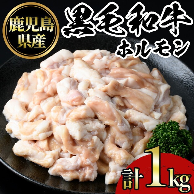 鹿児島黒毛和牛ホルモン(楽天ふるさと納税 鹿児島県日置市)