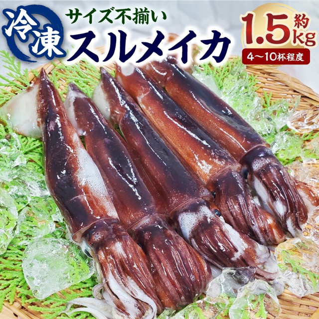 高鮮度3D冷凍 スルメイカ(楽天ふるさと納税 兵庫県新温泉町)