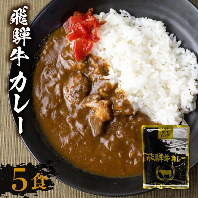 飛騨牛カレー 160g×5袋（訳あり・簡易包装・常温配送）（楽天ふるさと納税 岐阜県高山市）