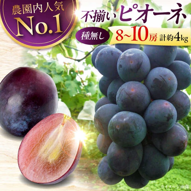 訳あり ピオーネ（楽天ふるさと納税 広島県三次市）