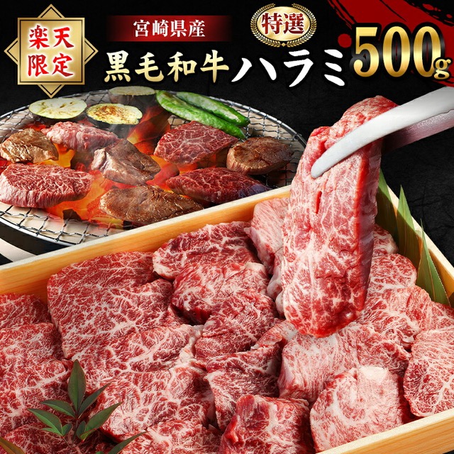特選 黒毛和牛ハラミ(楽天ふるさと納税 宮崎県高鍋町)