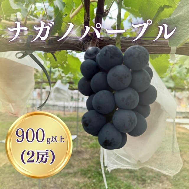 ナガノパープル（楽天ふるさと納税 長野県千曲市）