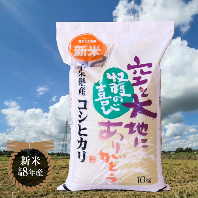 令和8年産 コシヒカリ(楽天ふるさと納税 千葉県大網白里市)