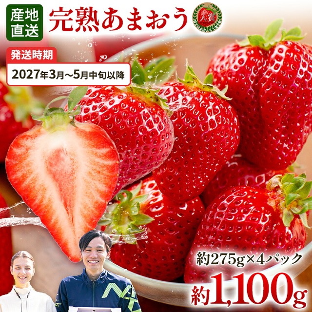 あまおう 約275g×4パック（楽天ふるさと納税 福岡県田川市）