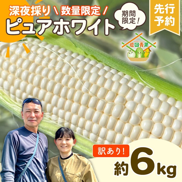 訳あり ピュアホワイト(楽天ふるさと納税 茨城県八千代町)