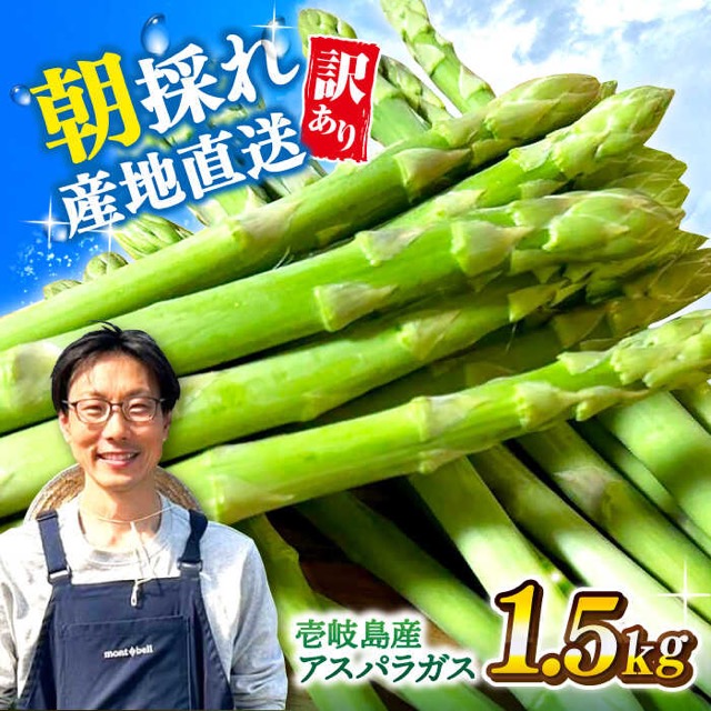 訳あり 壱岐産アスパラガス(楽天ふるさと納税 長崎県壱岐市)